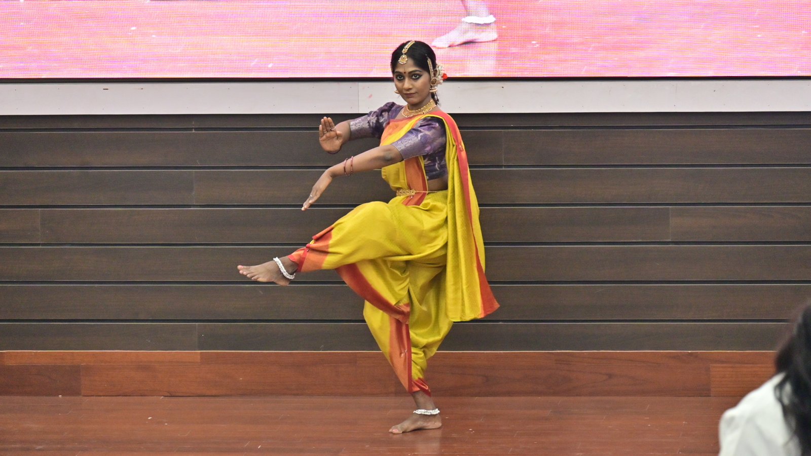 Cultural Events - DSC_8430