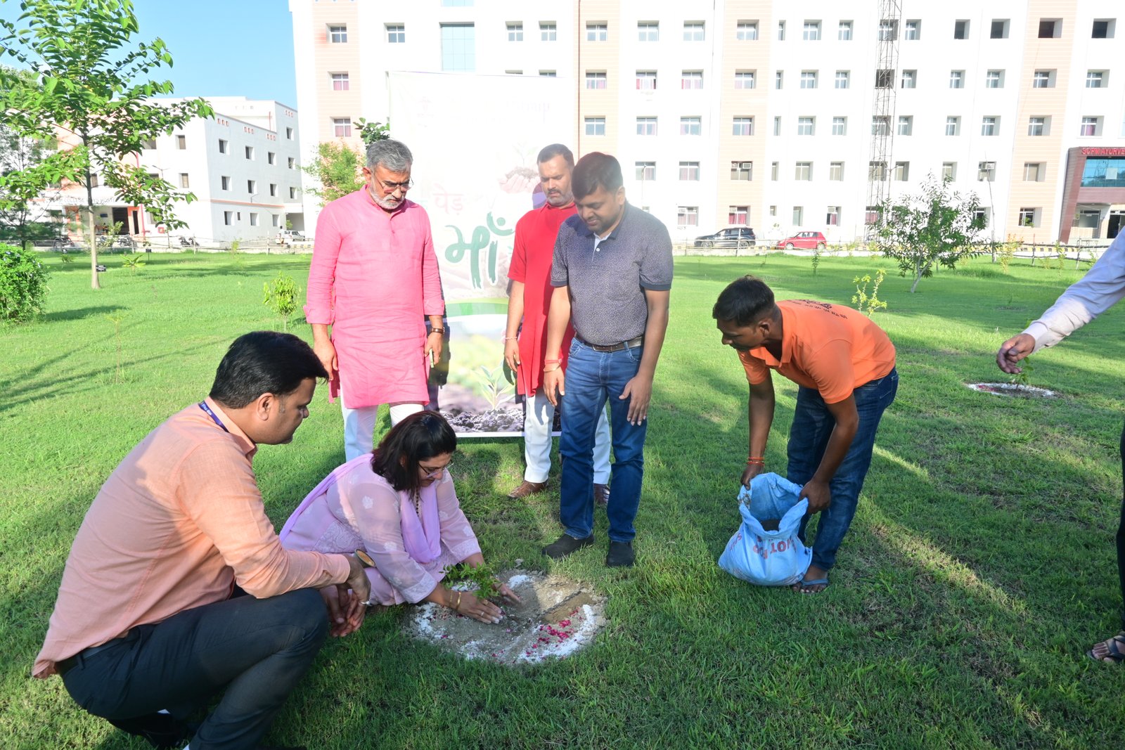 Tree Plantation - 01