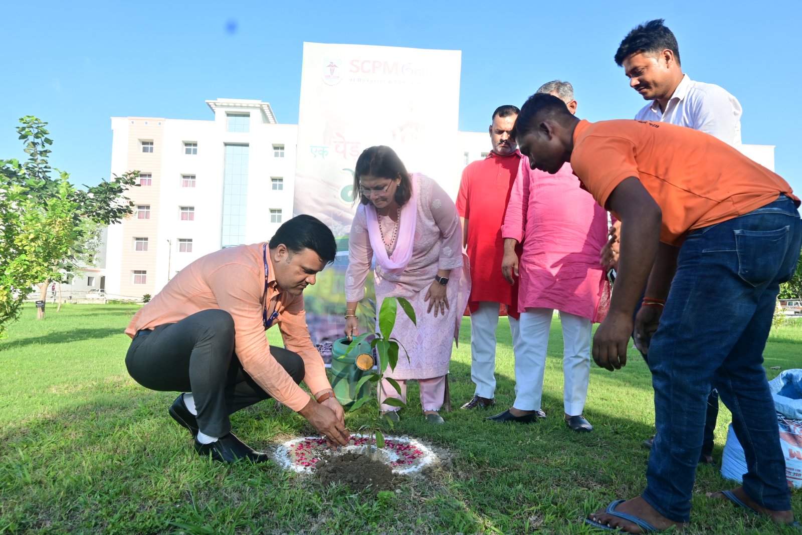 Tree Plantation - 3