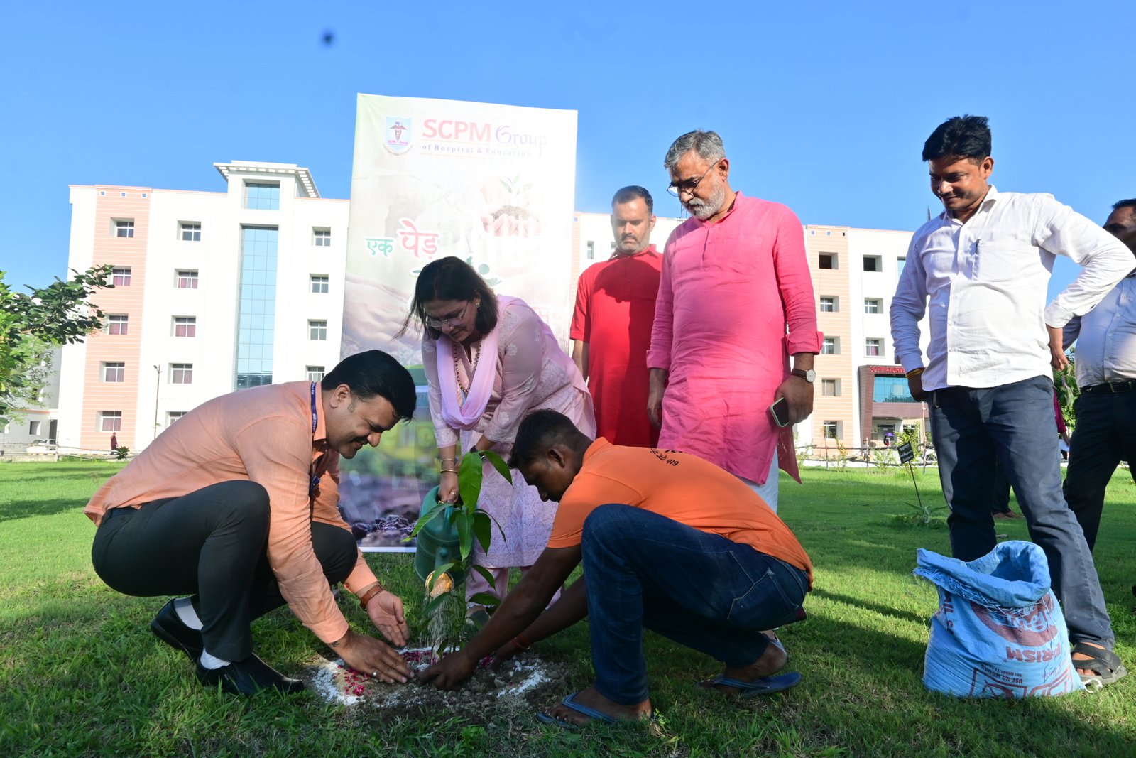 Tree Plantation - 4