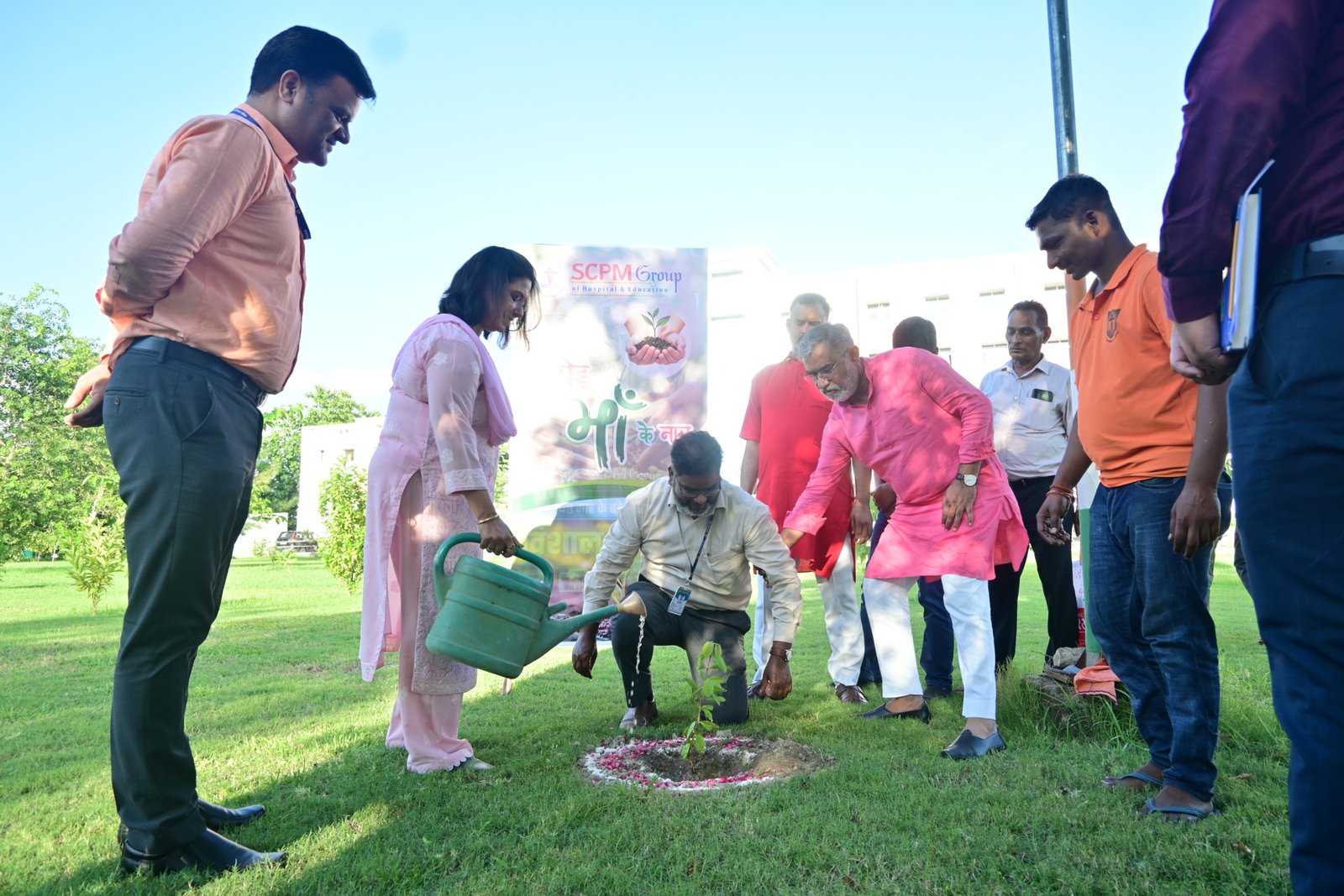Tree Plantation - 6