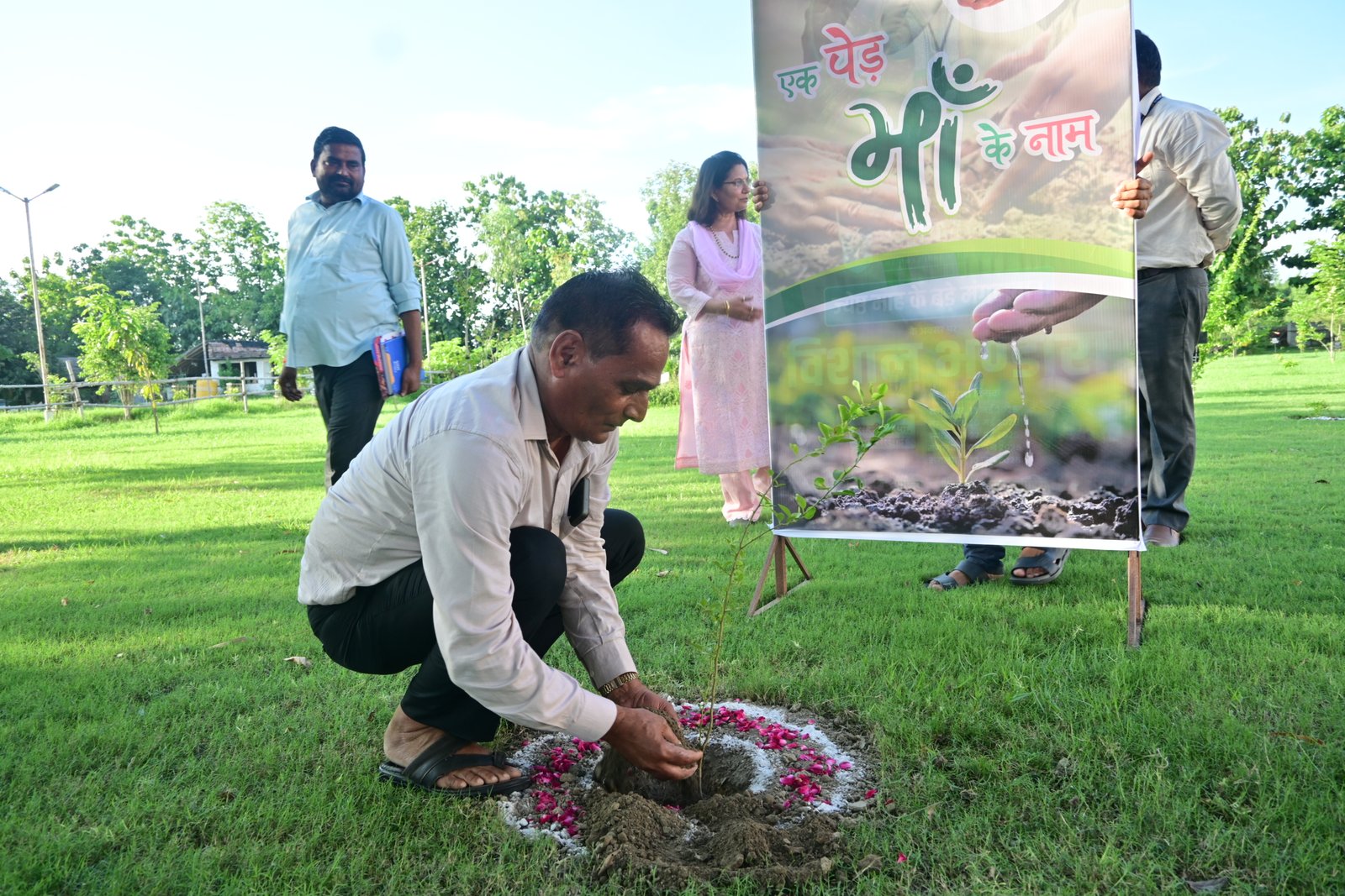 Tree Plantation - 7