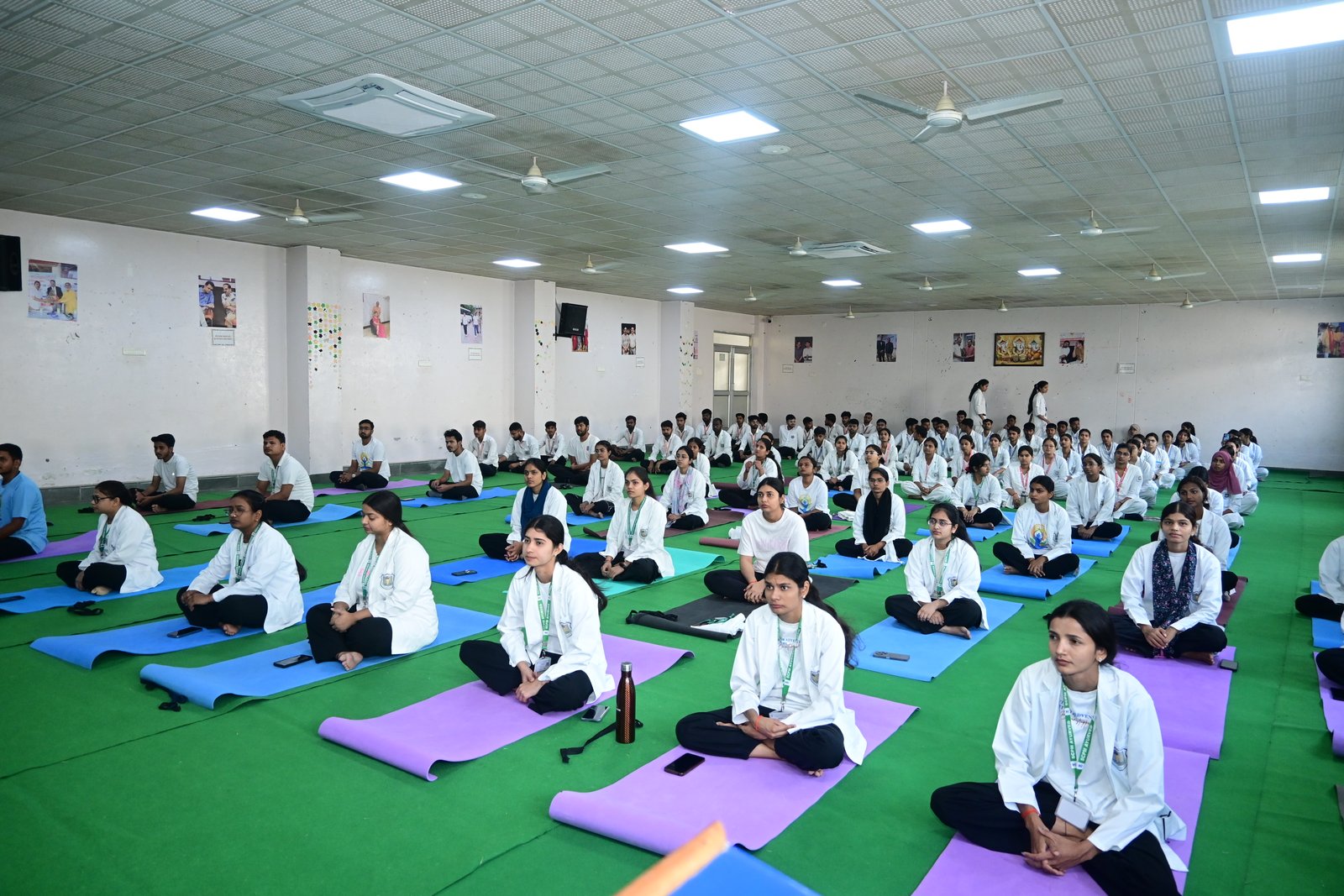 Yoga Activities - DSC_2669