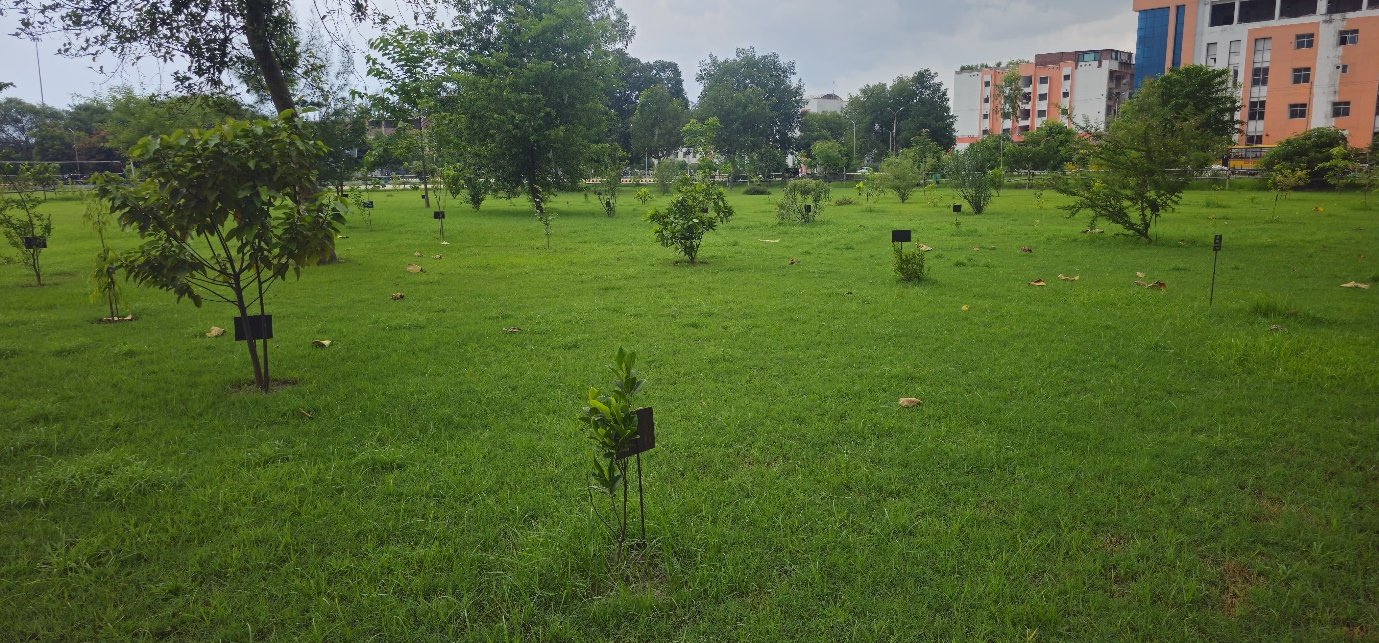 Herbal Garden
